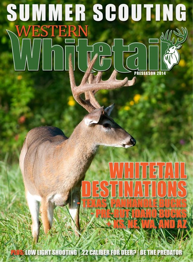 Vuélvete ilimitado con Magzter GOLD