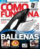 Enero 2015