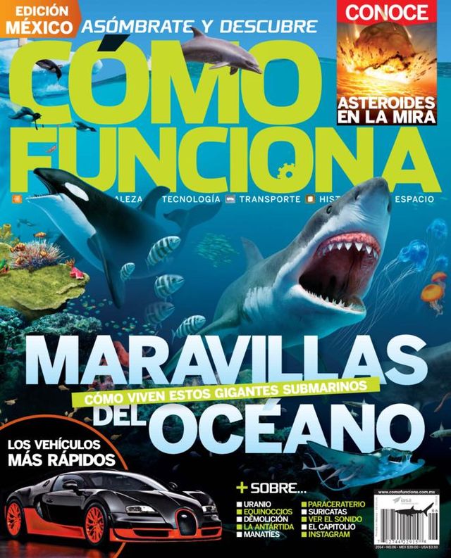 Cómo Funciona - México