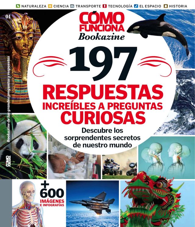 Cómo Funciona Especiales