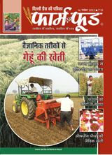 November Second 2022