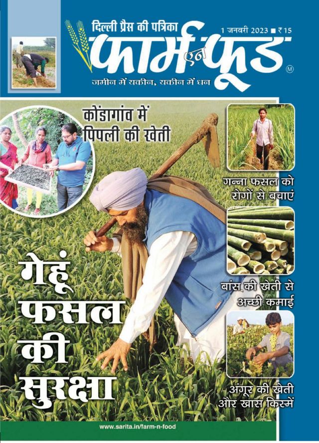 Magzter GOLDで無制限に