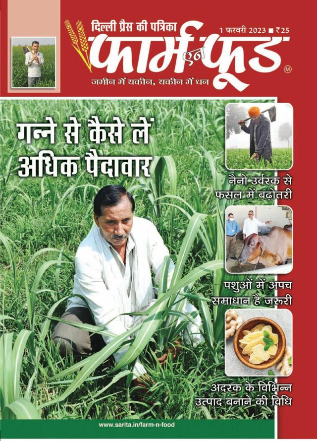 Magzter GOLD ile Sınırsız Olun