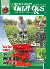 February Second 2023