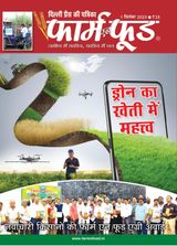 September First 2023