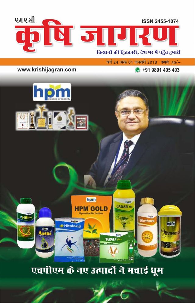 Mit Magzter GOLD unbegrenztes Potenzial nutzen