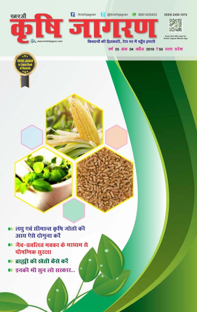 Magzter GOLDで無制限に