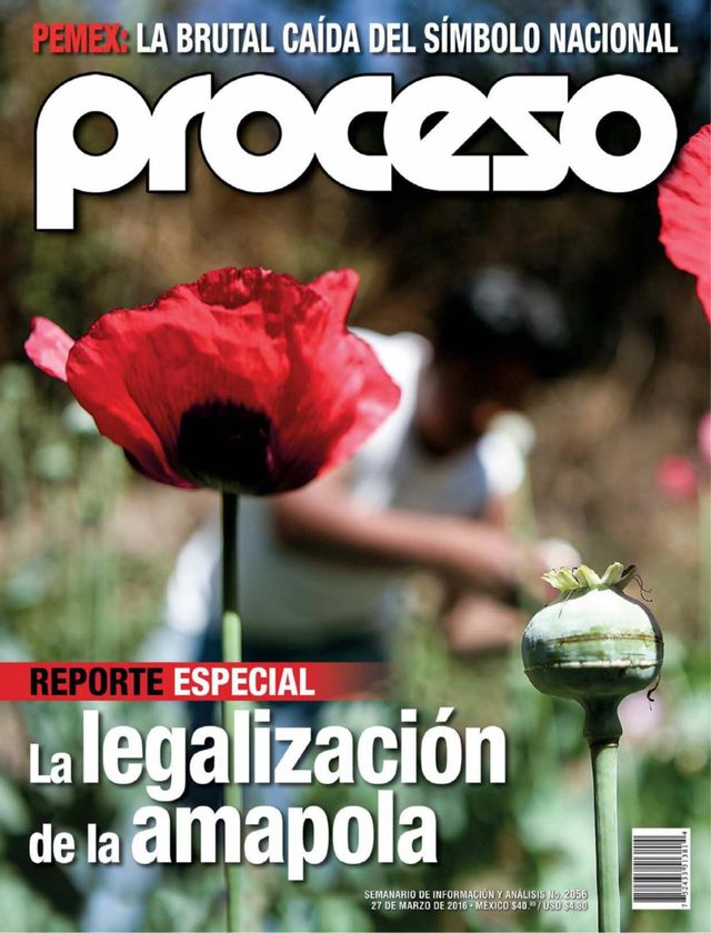 Revista Proceso