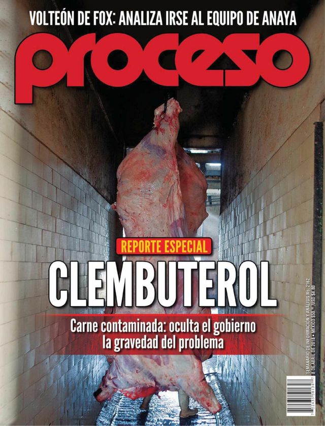 Revista Proceso