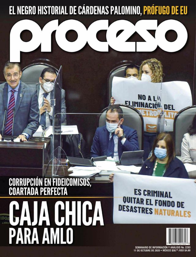 Revista Proceso