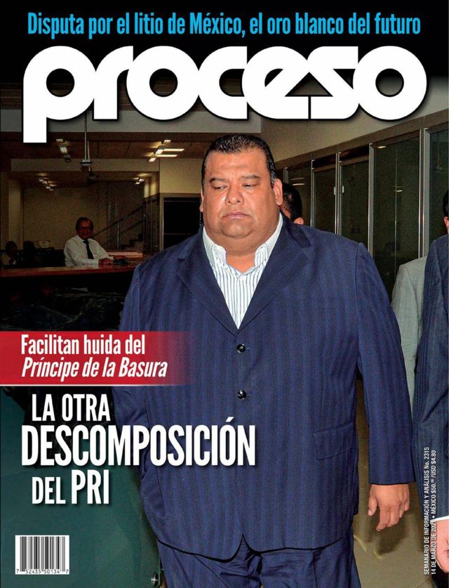 Revista Proceso