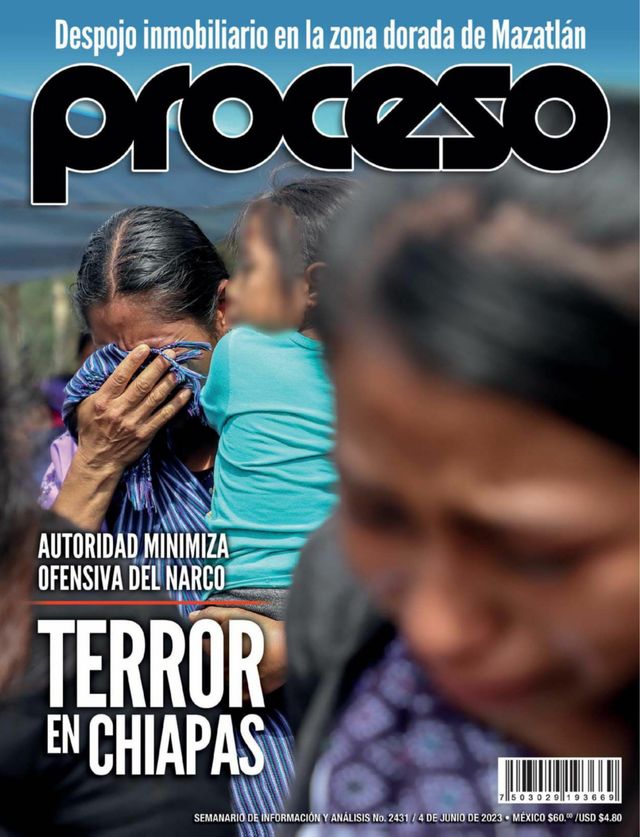 Revista Proceso