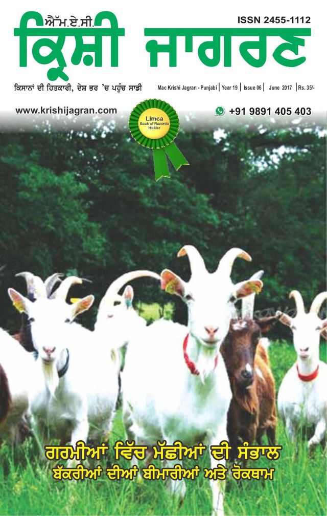 MAC KRISHI JAGRAN - Punjabi