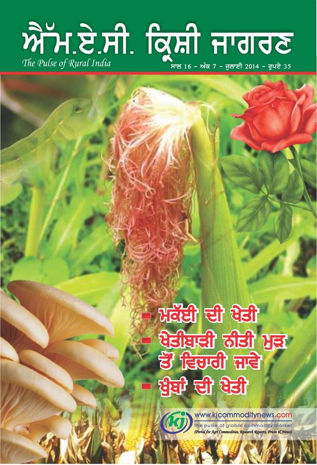 MAC KRISHI JAGRAN - Punjabi