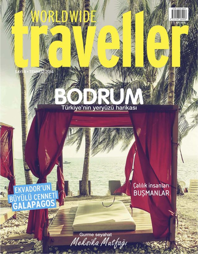 Worldwide Traveller