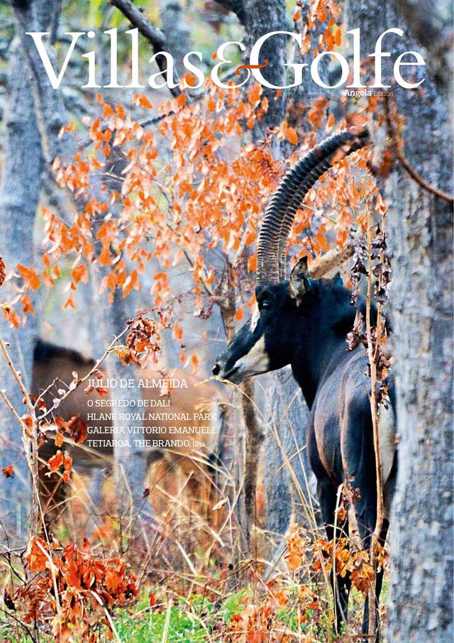 Villas&Golfe África