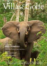Issue 29
