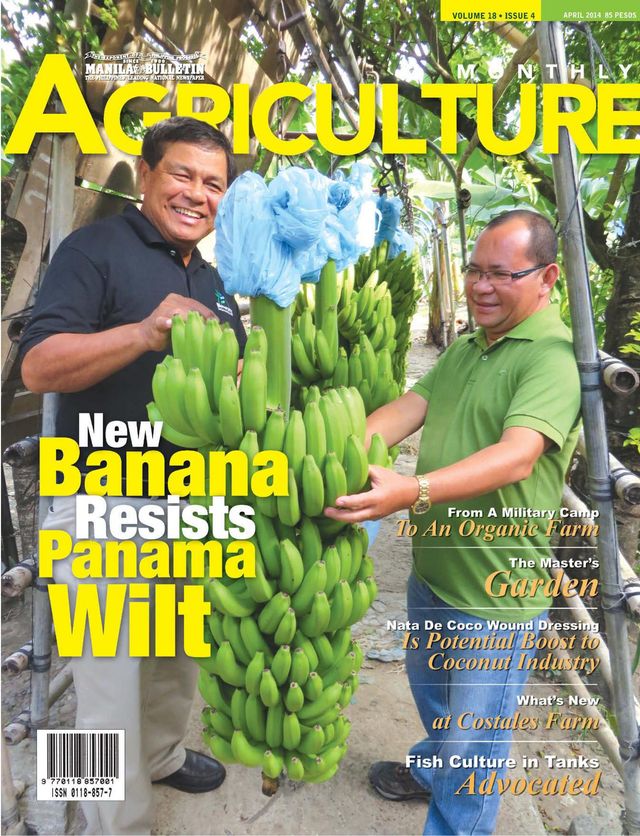 Agriculture