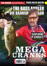Issue 80