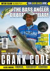 Issue 85