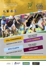 Leinster GAA Senior Hurling Championship Round 5