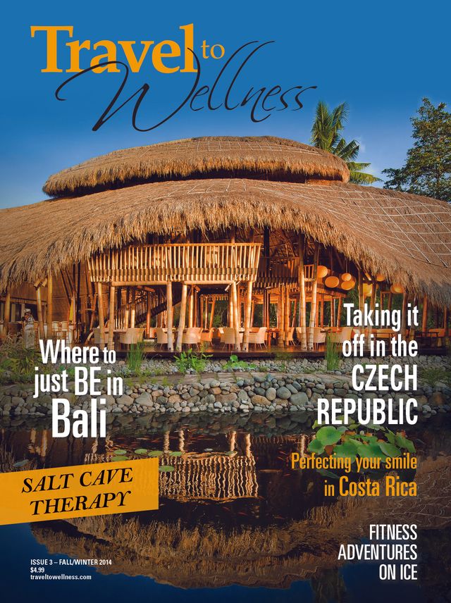 Travel to Wellness