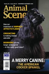 Animal Scene
