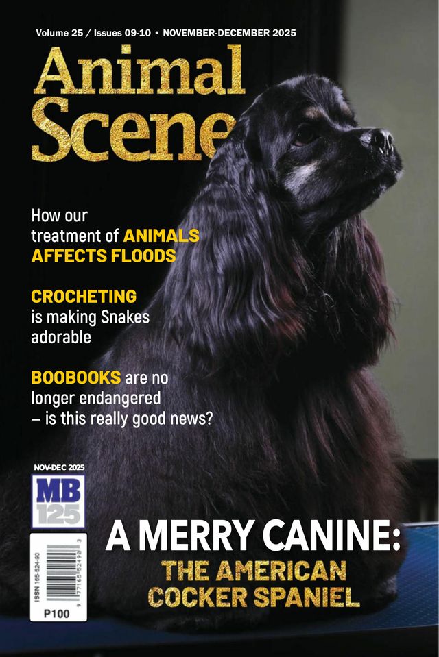 Animal Scene