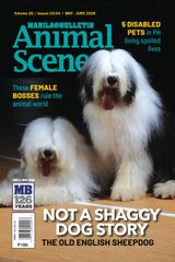 Animal Scene