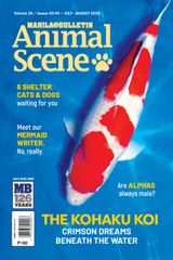 Animal Scene
