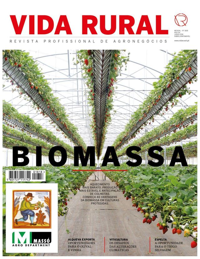 Vida Rural
