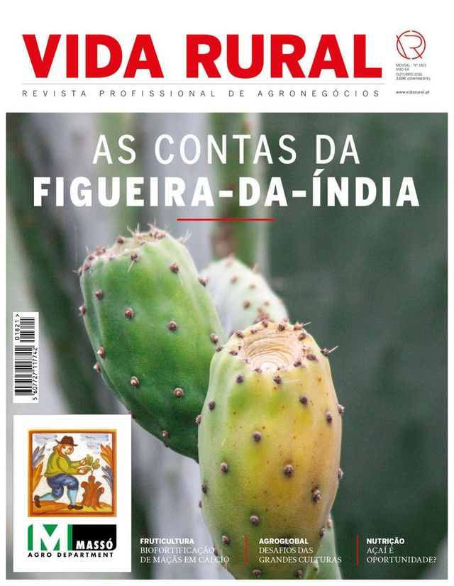 Vida Rural