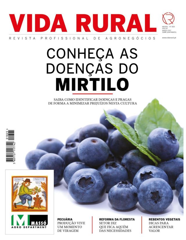 Vida Rural