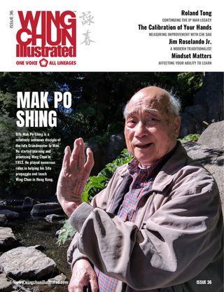 Wing Chun Illustrated