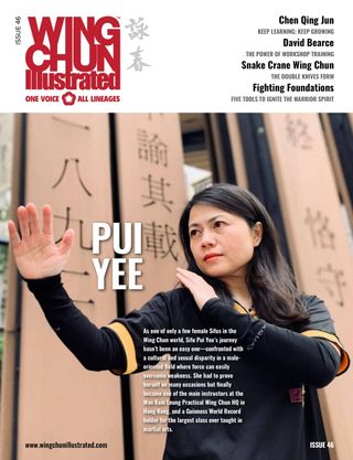 Wing Chun Illustrated