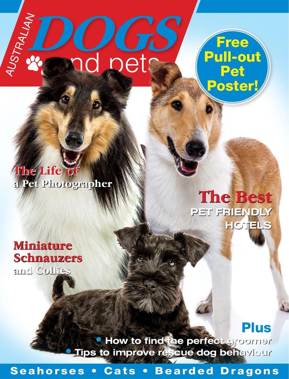 Australia Dogs and PetsIssue 8 Magazine Get your Digital Subscription