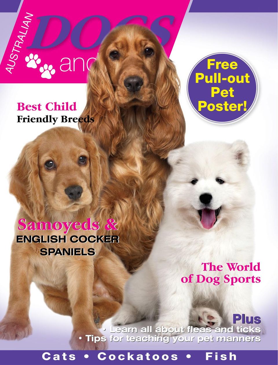 Australia Dogs and Pets Magazine Get your Digital Subscription