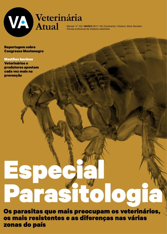 मैगज़्टर गोल्ड के साथ असीमित हो जाओ