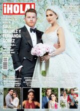 Issue 713