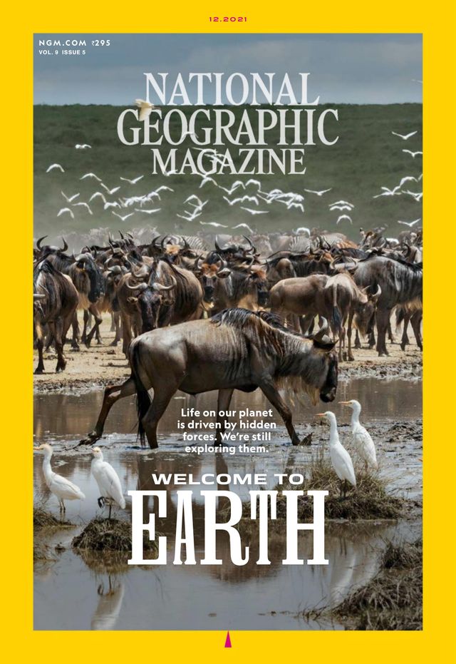 Go Unlimited with Magzter GOLD