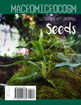Seeds, Volume 2 Issue 3