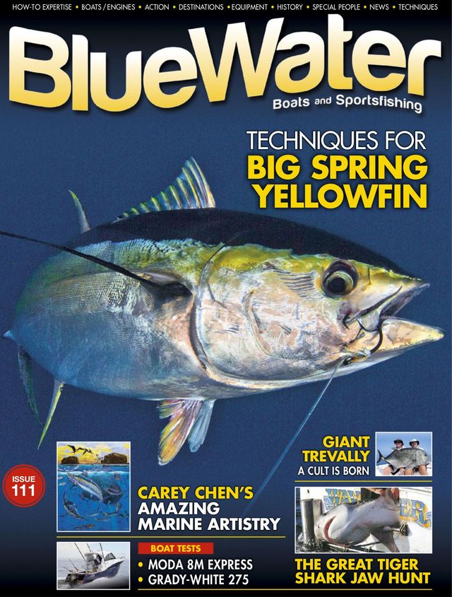 Bluewater Boats & Sportsfishing