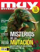 Noviembre 2021
