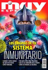 Los enigmas de tu sistema inmunitario