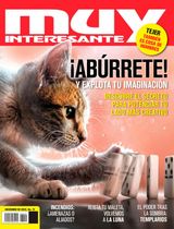 Diciembre 2022