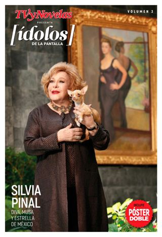 TVyNovelas