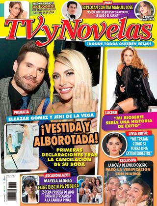 TVyNovelas