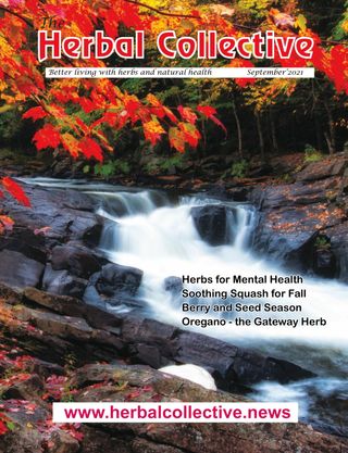 Herbal Collective - September 2021 Herbal Collective Cover - September 2021 Edition