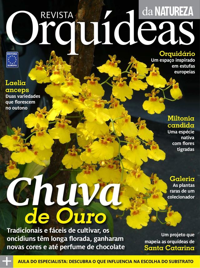 Orquídeas da Natureza