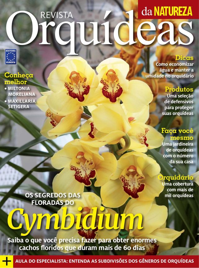 Orquídeas da Natureza